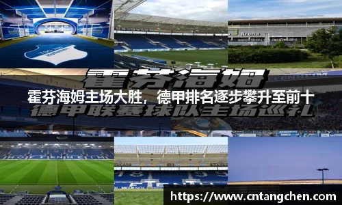 NG体育官网