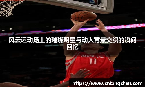 NG体育官网