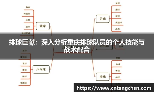 NG体育官网