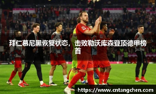 NG体育官网