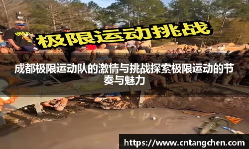 NG体育官网
