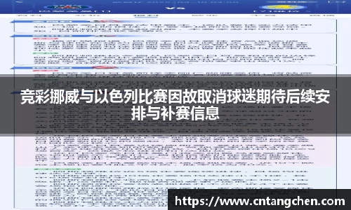 NG体育官网