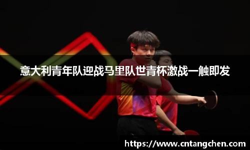 NG体育官网