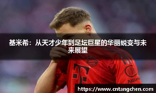 NG体育官网