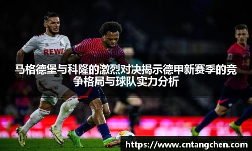 NG体育官网