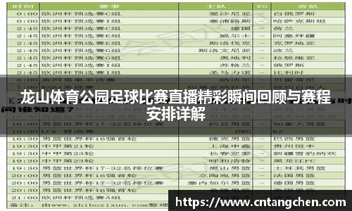 NG体育官网